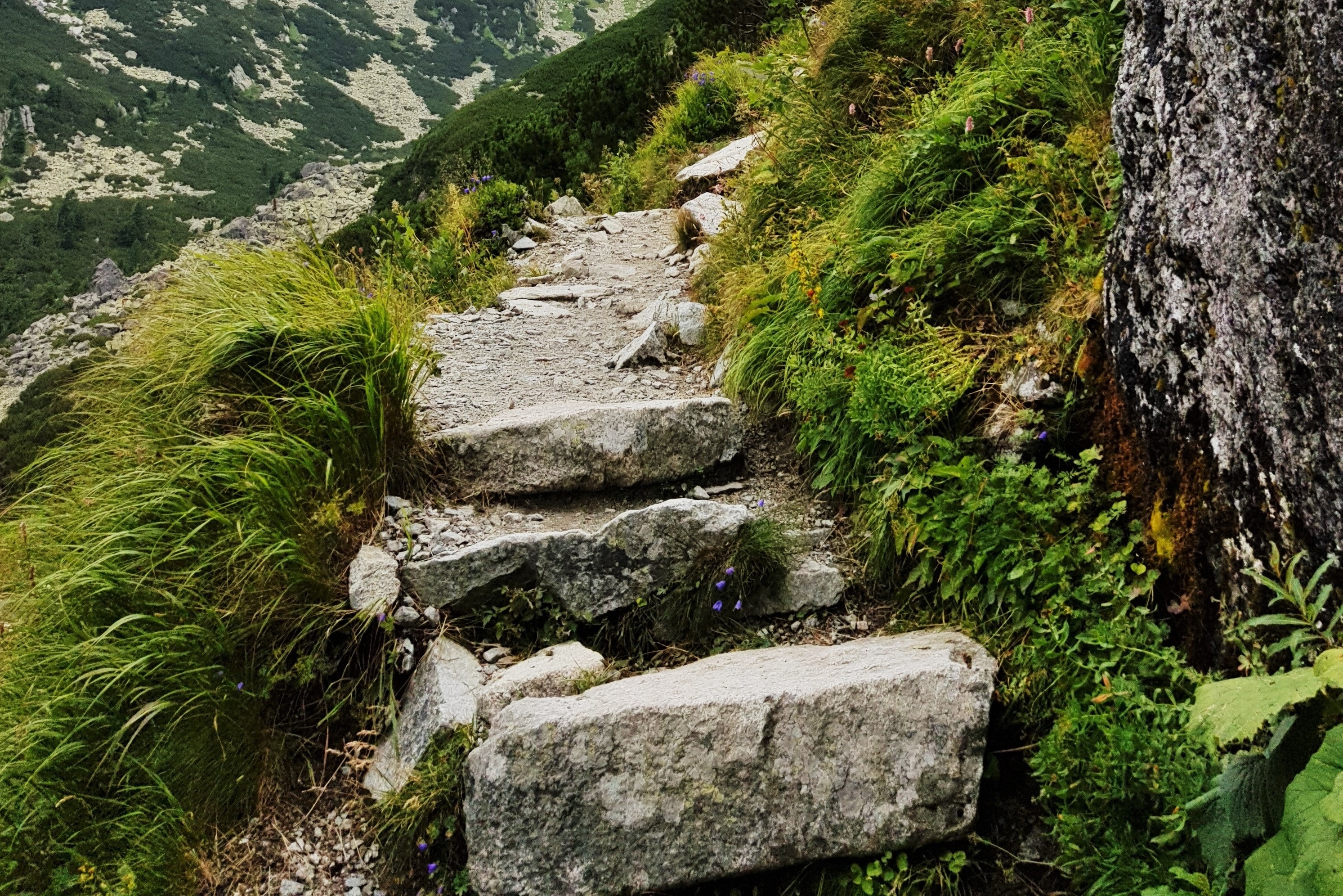 Mera Peak Climbing